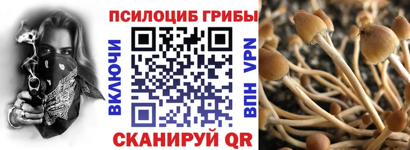 Галлюциногенные грибы MAGIC MUSHROOMS сколько стоит Ростов